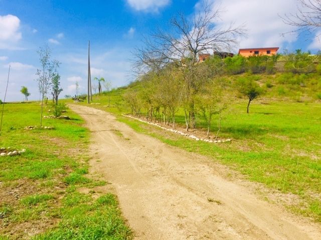 place photo 31