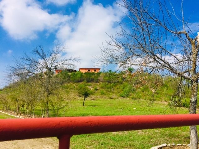 place photo 25