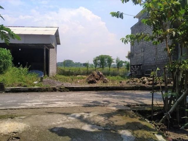 place photo 4