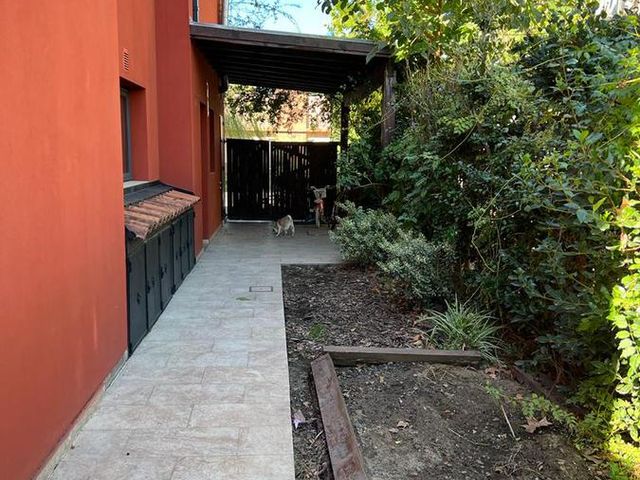 place photo 57