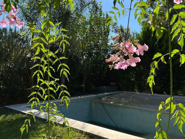 place photo 51