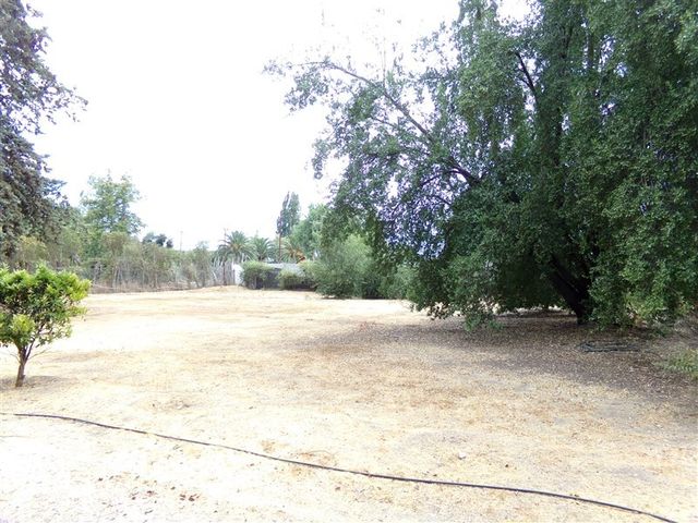 place photo 36
