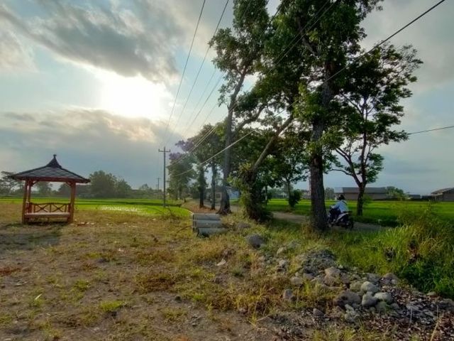 place photo 6