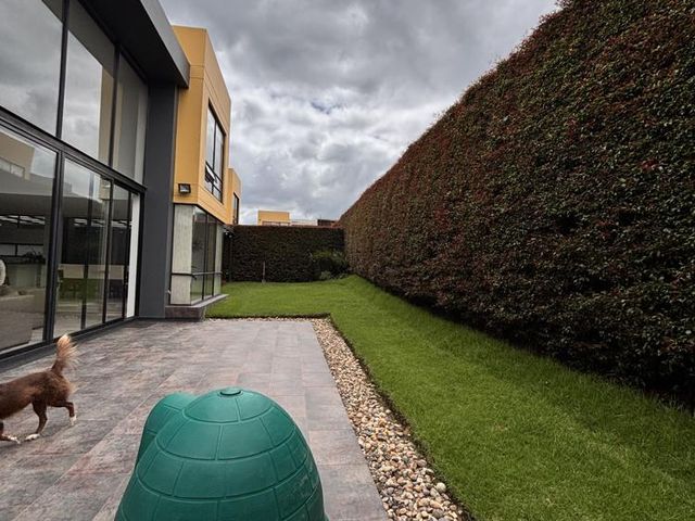 place photo 68