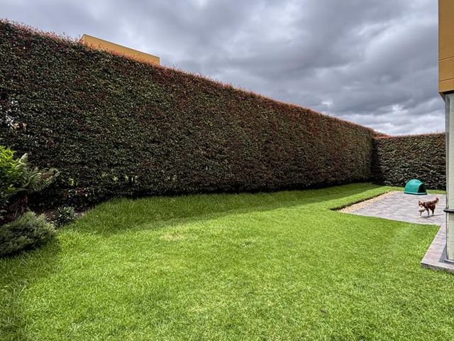 place photo 71