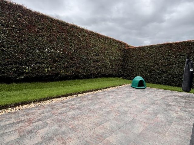 place photo 65