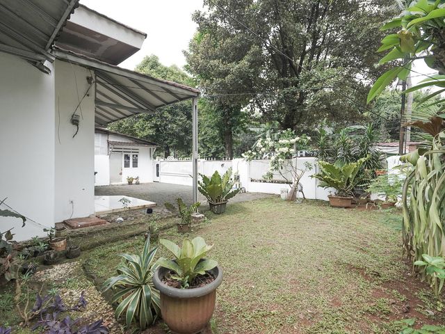 place photo 34
