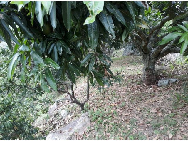 place photo 16
