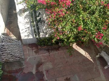 place photo 37