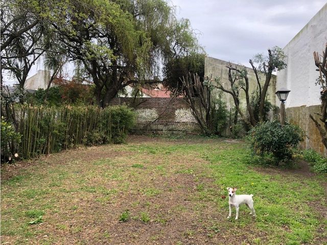 place photo 20
