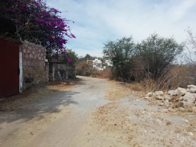 place photo 19