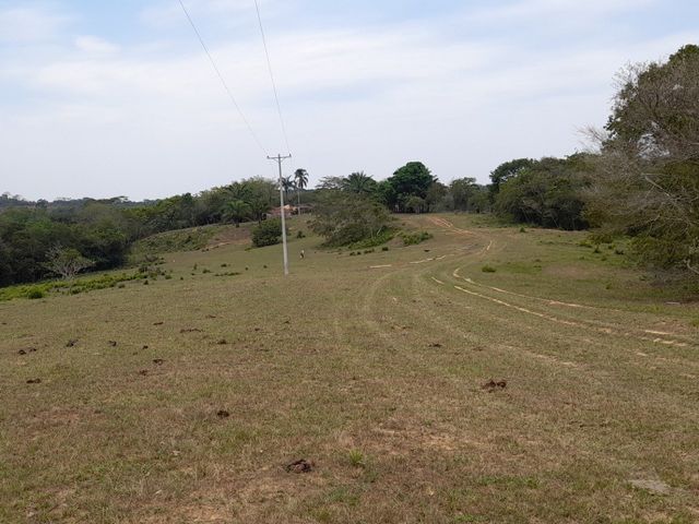 place photo 19