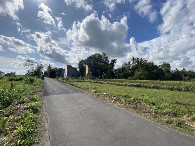 place photo 5