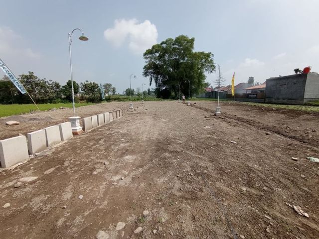 place photo 6
