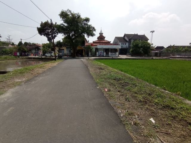 place photo 5
