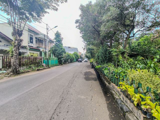 place photo 17