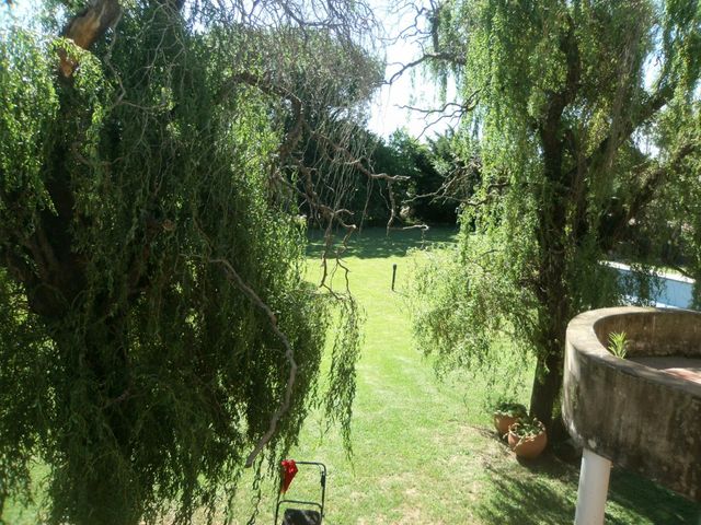 place photo 36