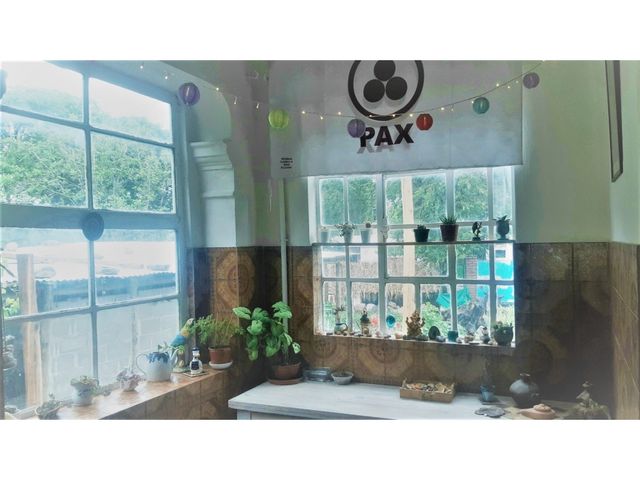 place photo 16
