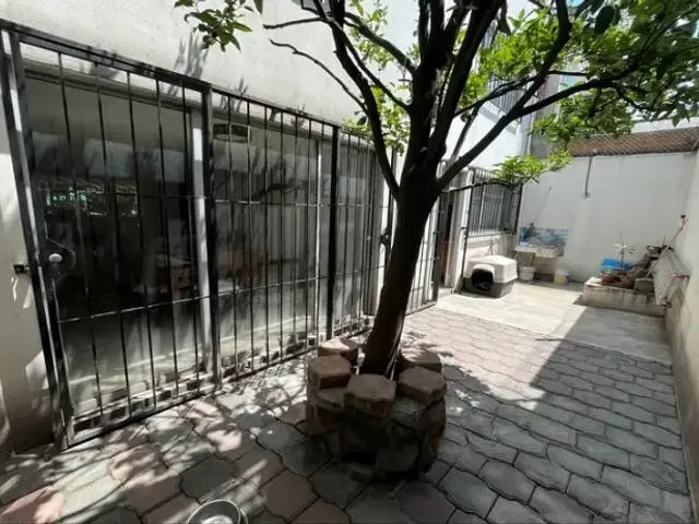 place photo 34