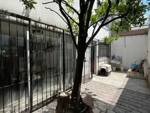 place photo 51