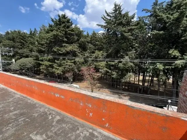 place photo 31