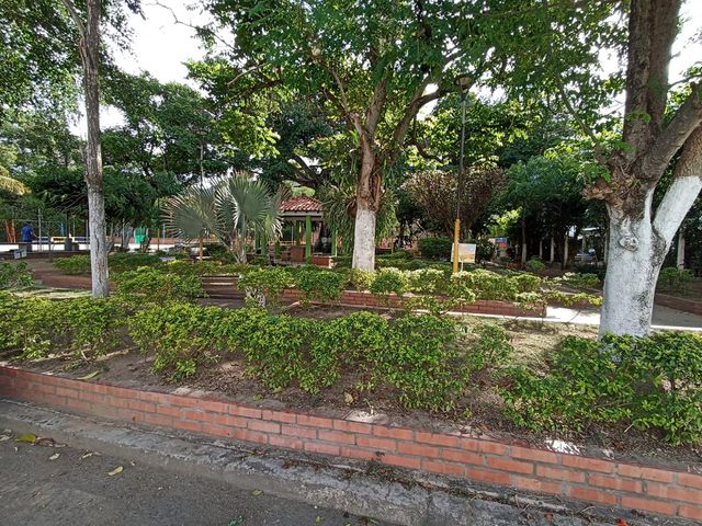 place photo 24