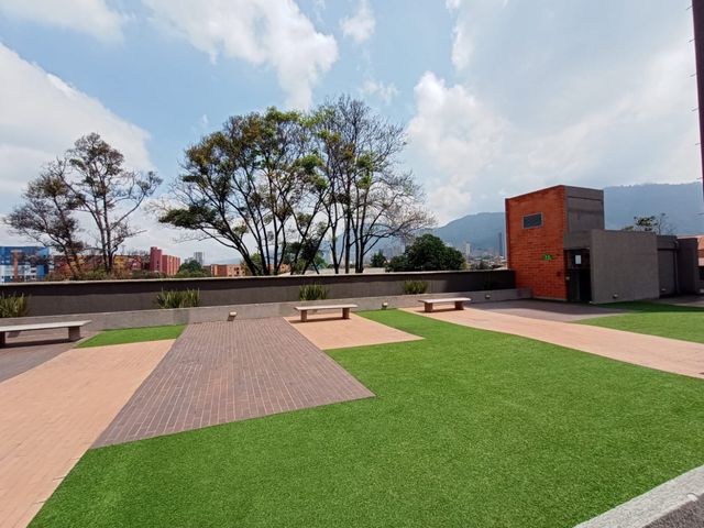 place photo 7