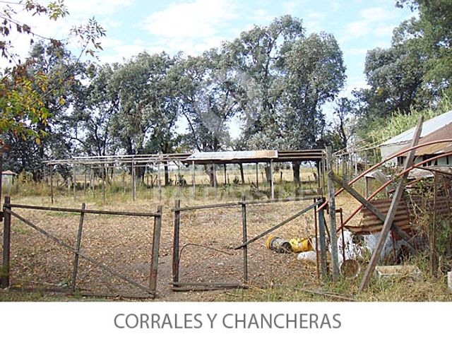 MONTE GRANDE (PART.ESTEBAN ECHEVERRIA) LINDA CHACRA 6Has. OPORTUNIDAD RENTABLE  .CERCA DE TODO. IDEAL PROYECTO AGROPECUARIO/GUARDERIA EQUINA/GRANJA/PS