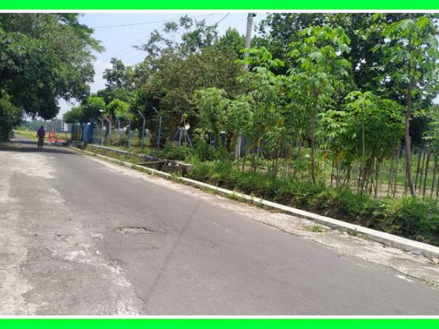 place photo 1