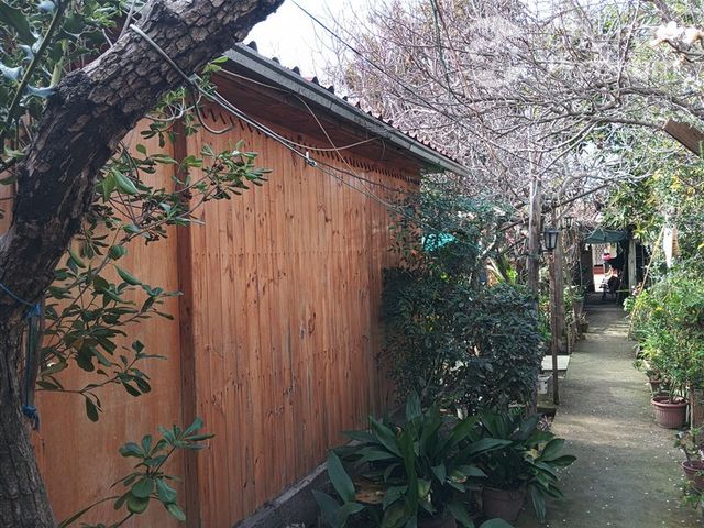 place photo 31