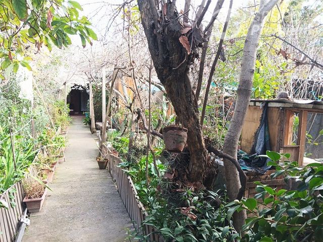 place photo 32