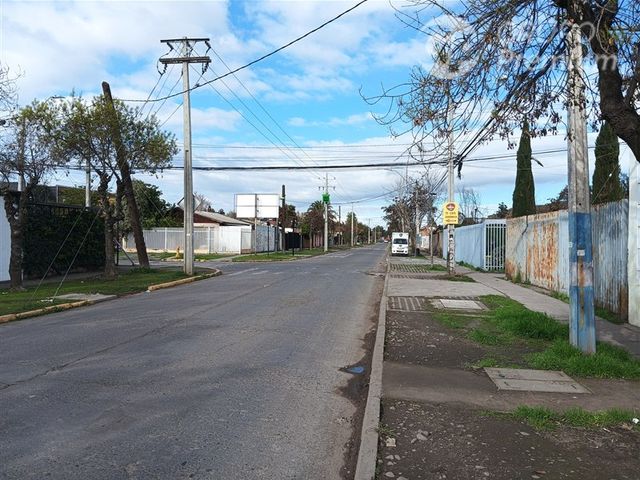 place photo 34