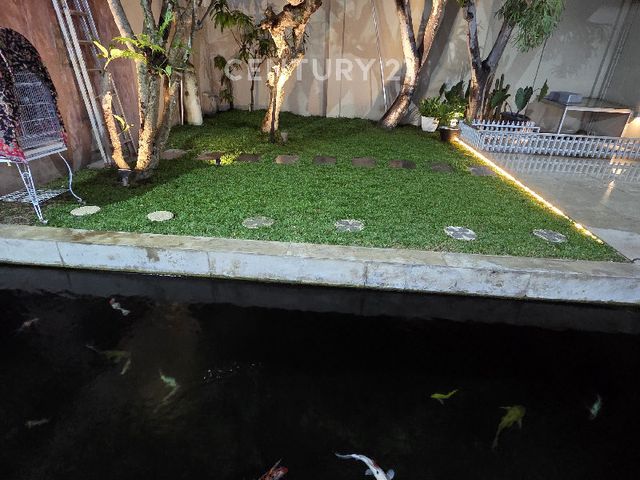 place photo 14