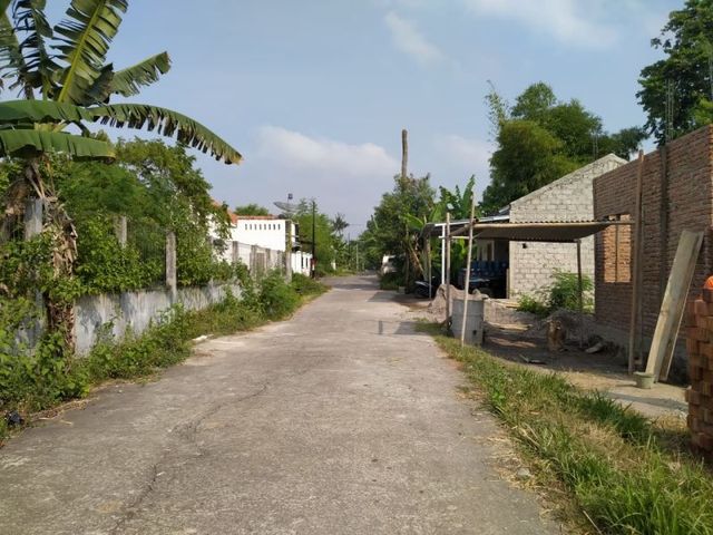 place photo 5