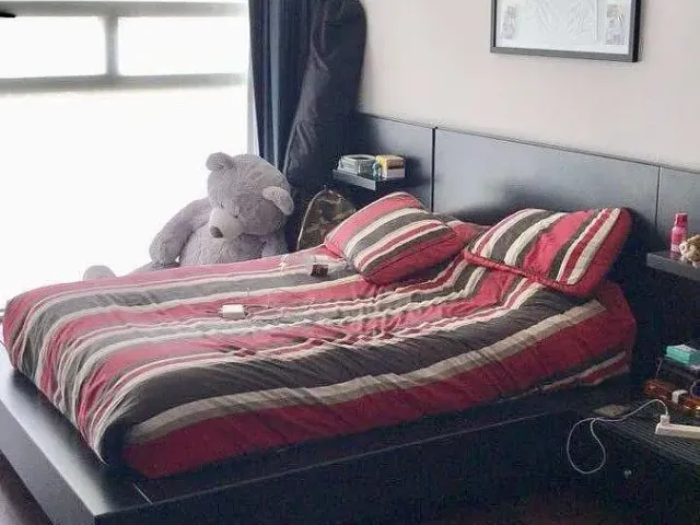 place photo 17