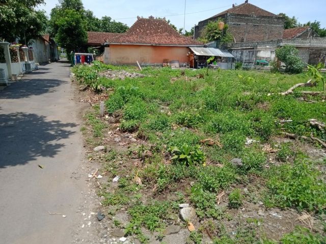 place photo 5