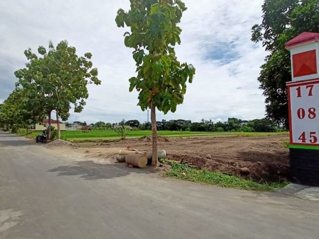 place photo 5