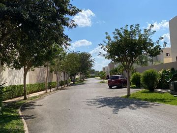 place photo 40