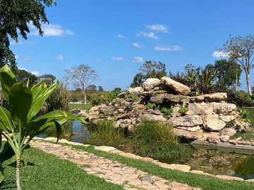 place photo 42