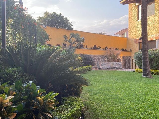 place photo 42