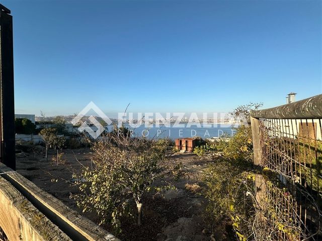 place photo 38