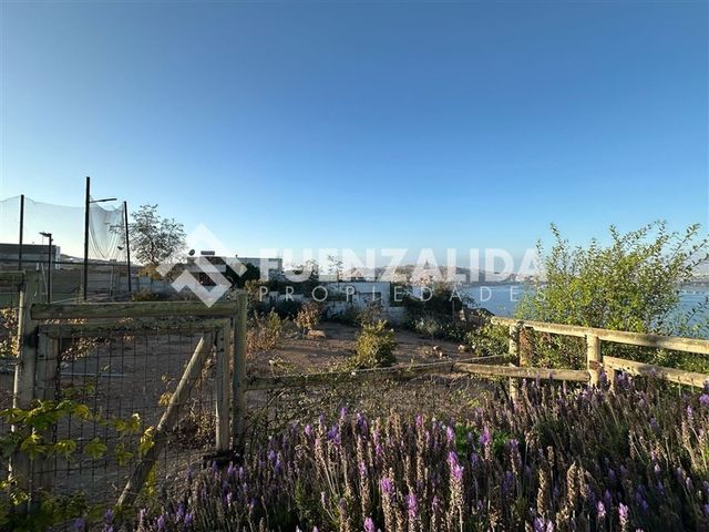 place photo 36