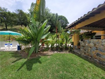 place photo 53
