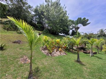 place photo 51