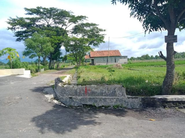 place photo 2