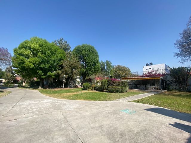 place photo 12
