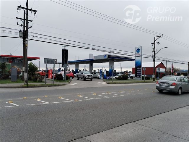 place photo 15