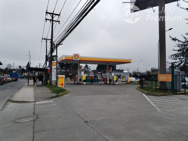 place photo 16