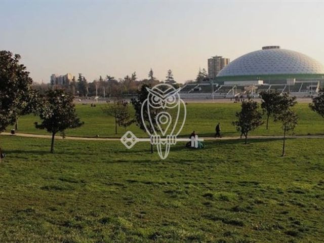 place photo 19