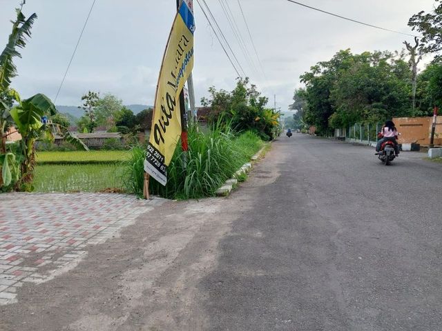 place photo 5
